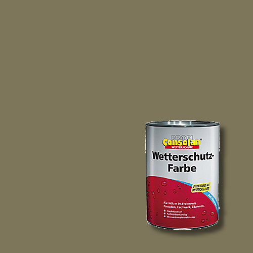 Profi-Consolan - Wetterschutzfarbe - Farbton RAL 6013 Schilfgrün