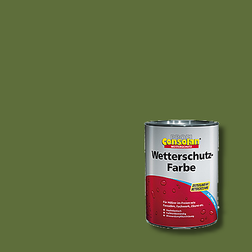 Profi-Consolan - Wetterschutzfarbe - Farbton RAL 6025 Farngrün