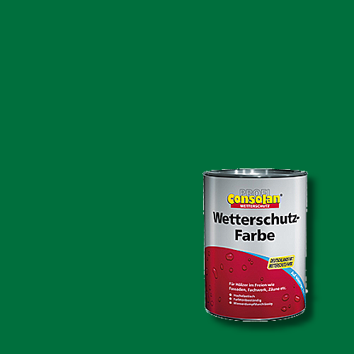 Profi-Consolan - Wetterschutzfarbe - Farbton RAL 6029 Minzgrün